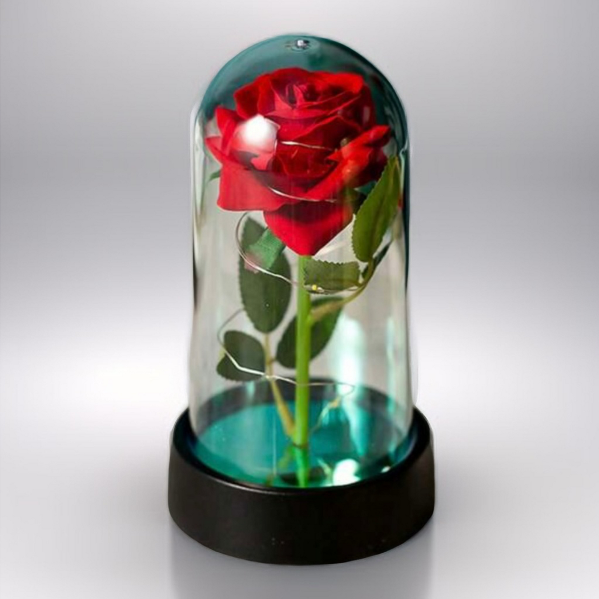 Rose Éternelle