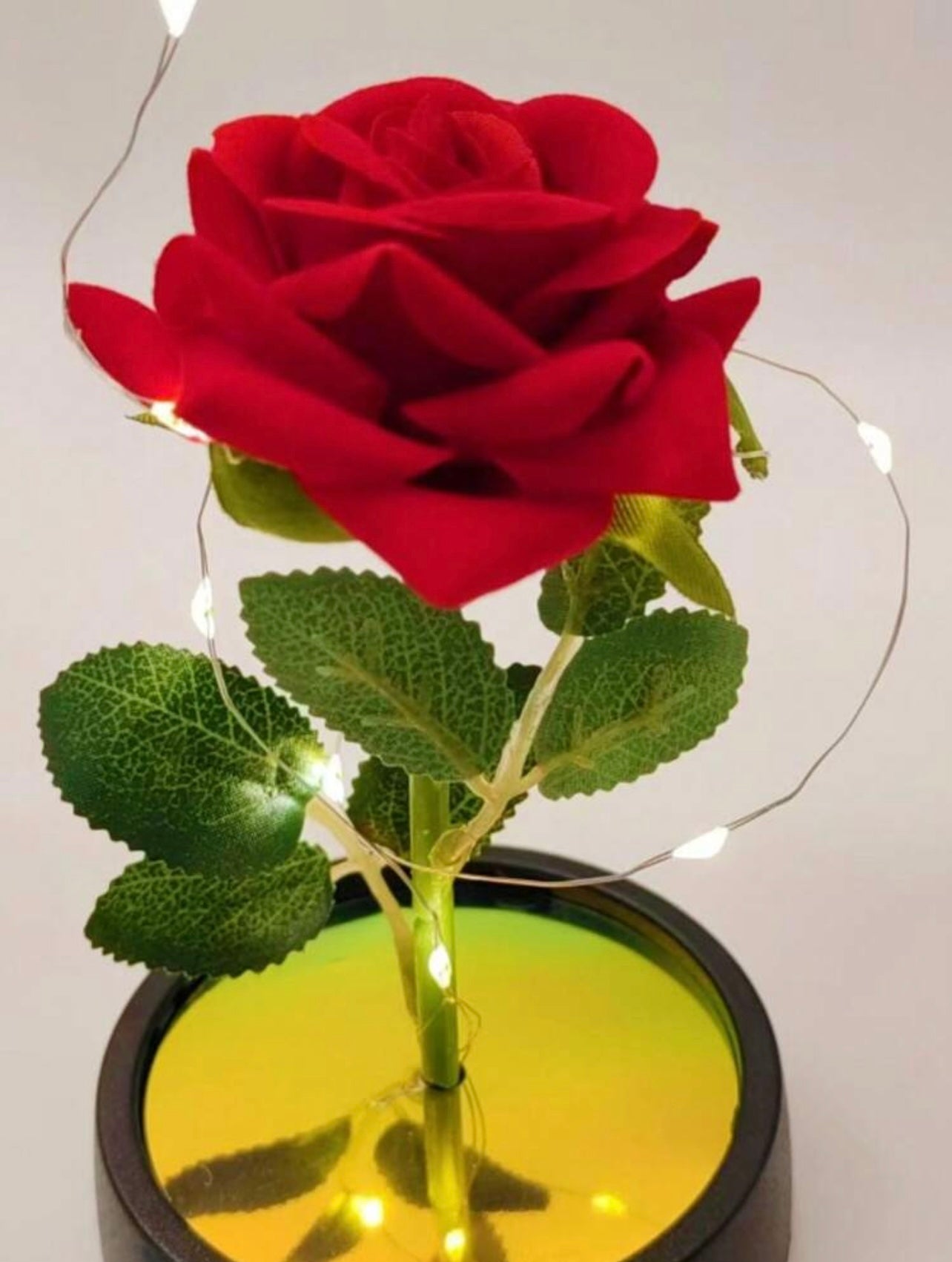 Rose Éternelle
